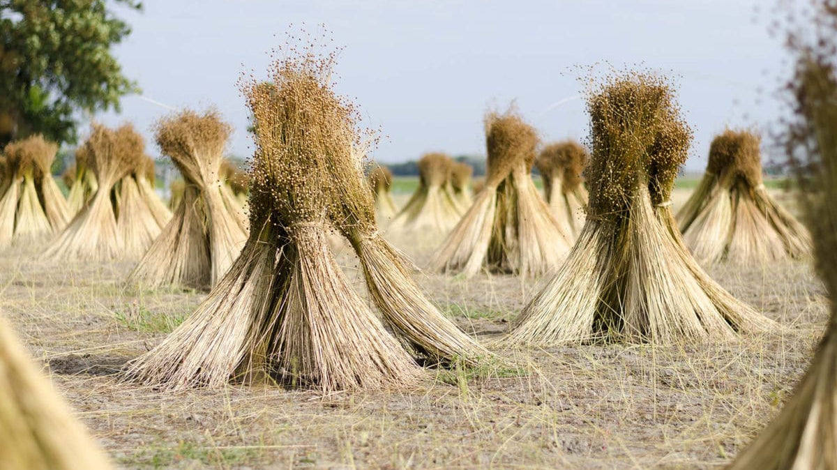 Linen vs Linen Blend - the advantages and disadvantages?