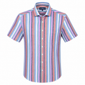 Siena Summer Stripe Regular Fit Half Sleeve Lightweight Cotton Shirt