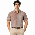 Brown Multi Striped Regular Fit Half Sleeve Cotton Shirt