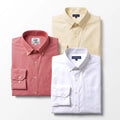 Pack of 3 Executive Oxford Button Down Cotton Shirt
