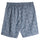 Subtle Blue Tribal Print Beach Shorts