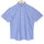 Azure Blue Gingham Half Sleeve Cotton Shirt