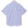 Sapphire Blue Stripes Half Sleeve Shirt